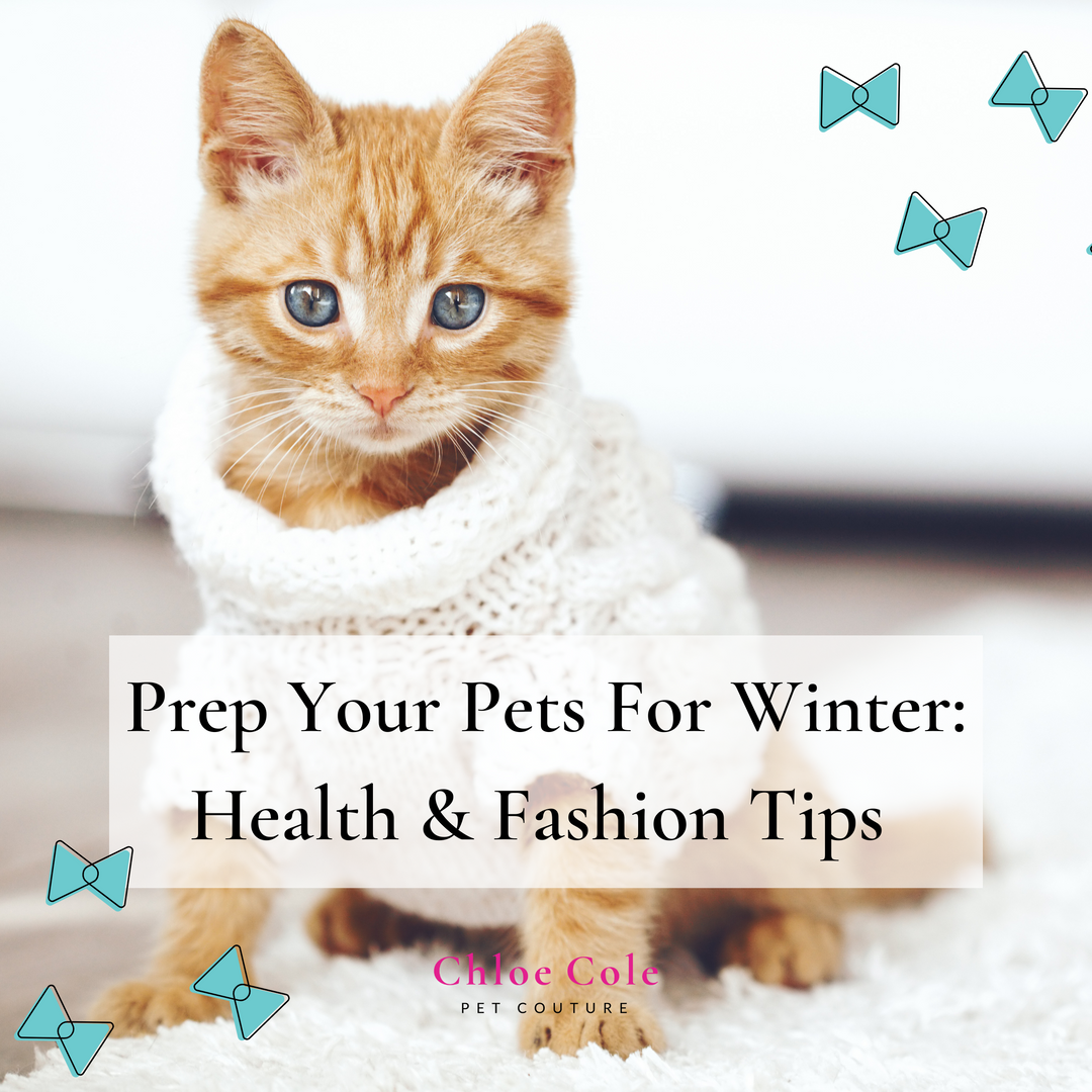 Prepare your fur baby for the winter ahead. We have health and fashion tips for the cold months.  Layer your pets clothing. We have a snow-in recipe for dog muffins. Read the Chloe Cole Pet Couture Blog.