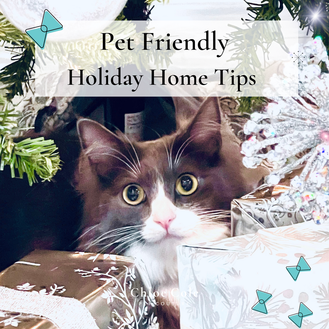 Here are some of my best tips to make sure your pets stay safe, happy, cozy and warm during the holiday season