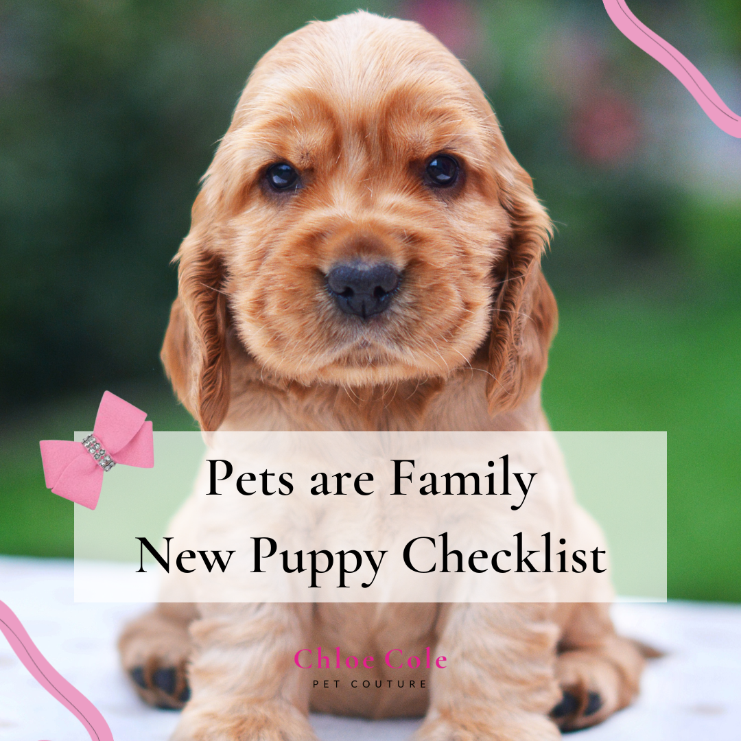 New Puppy Checklist