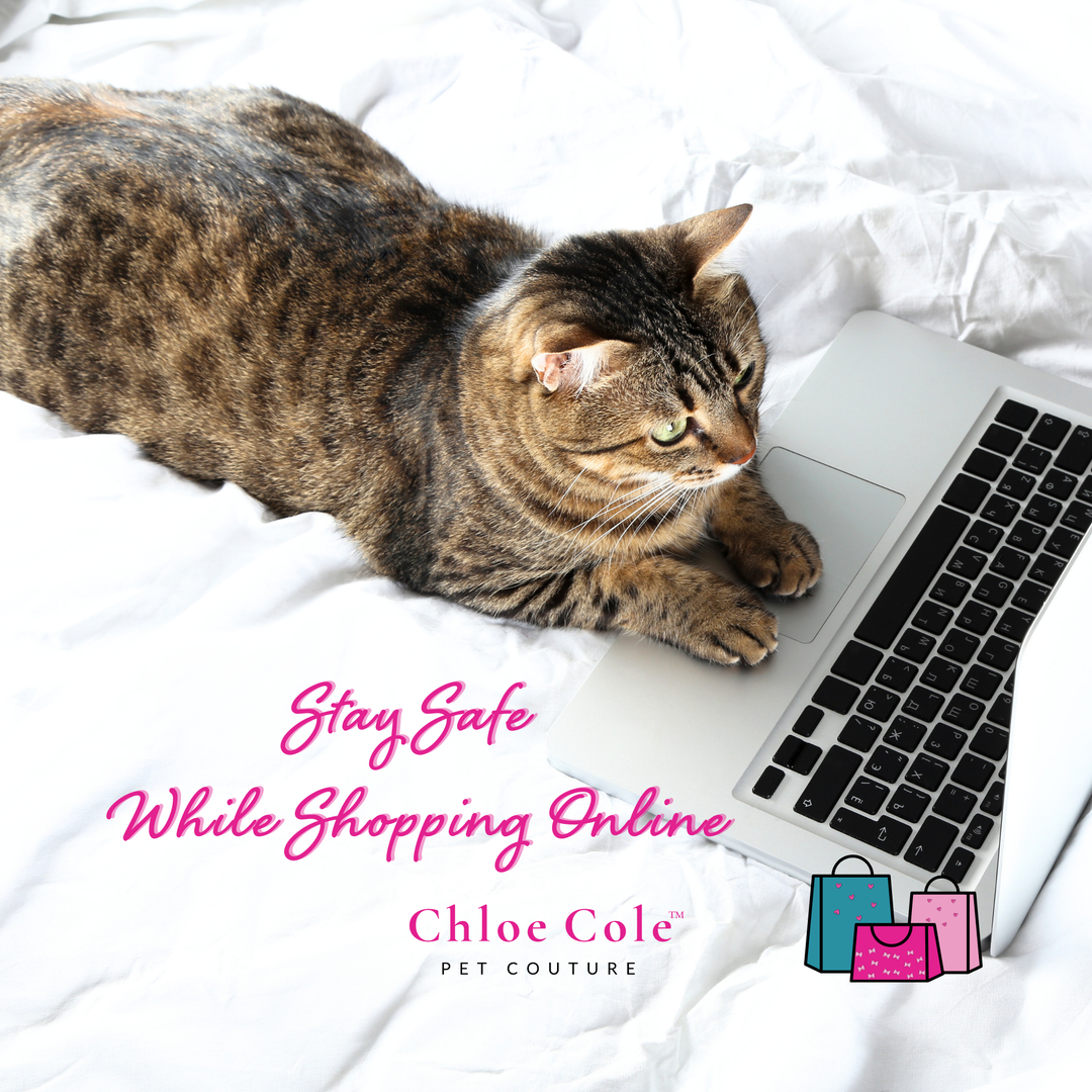 Stay Safe While Shopping Online: How to Spot a Legitimate Business