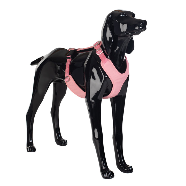 PAIKKA Visibility Harness
