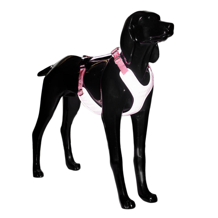 PAIKKA Visibility Harness