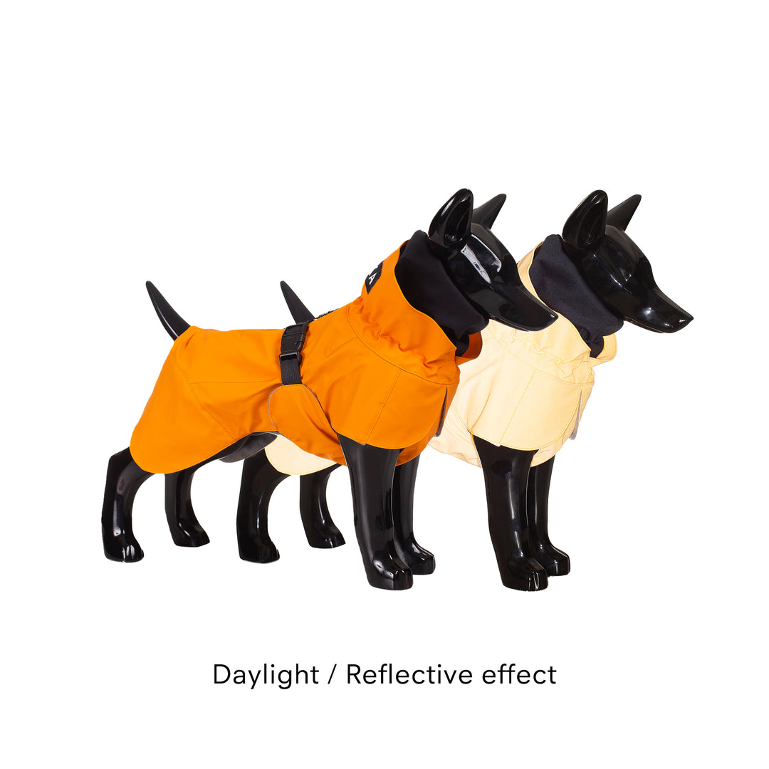 Recovery Raincoat for Dogs
