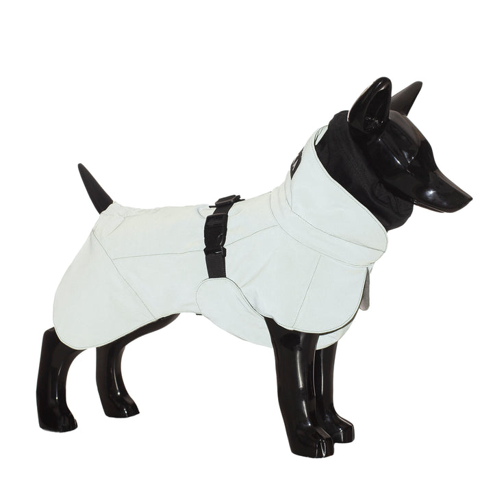 Visibility Winter Jacket for Dogs