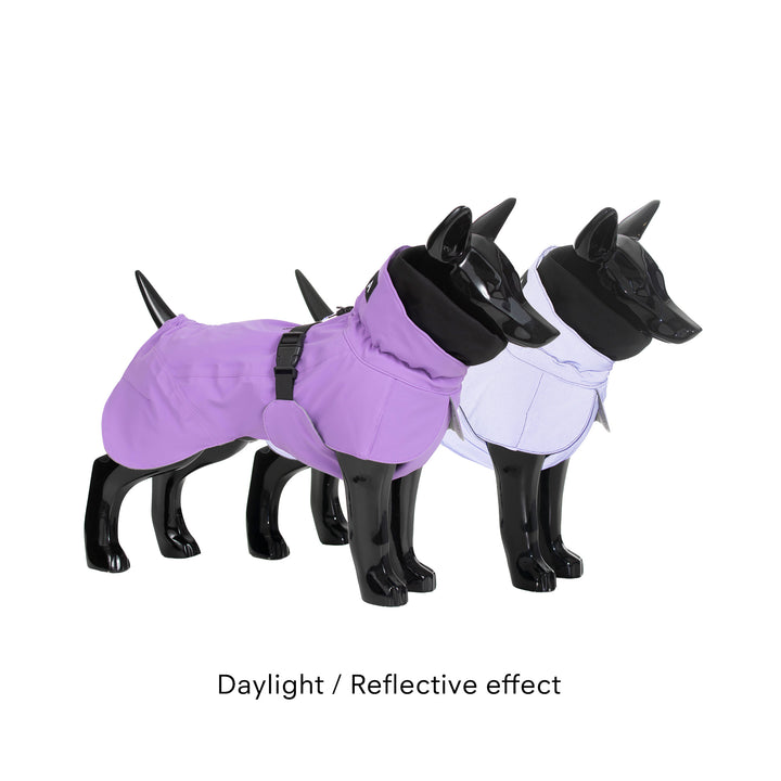 Visibility Winter Jacket for Dogs