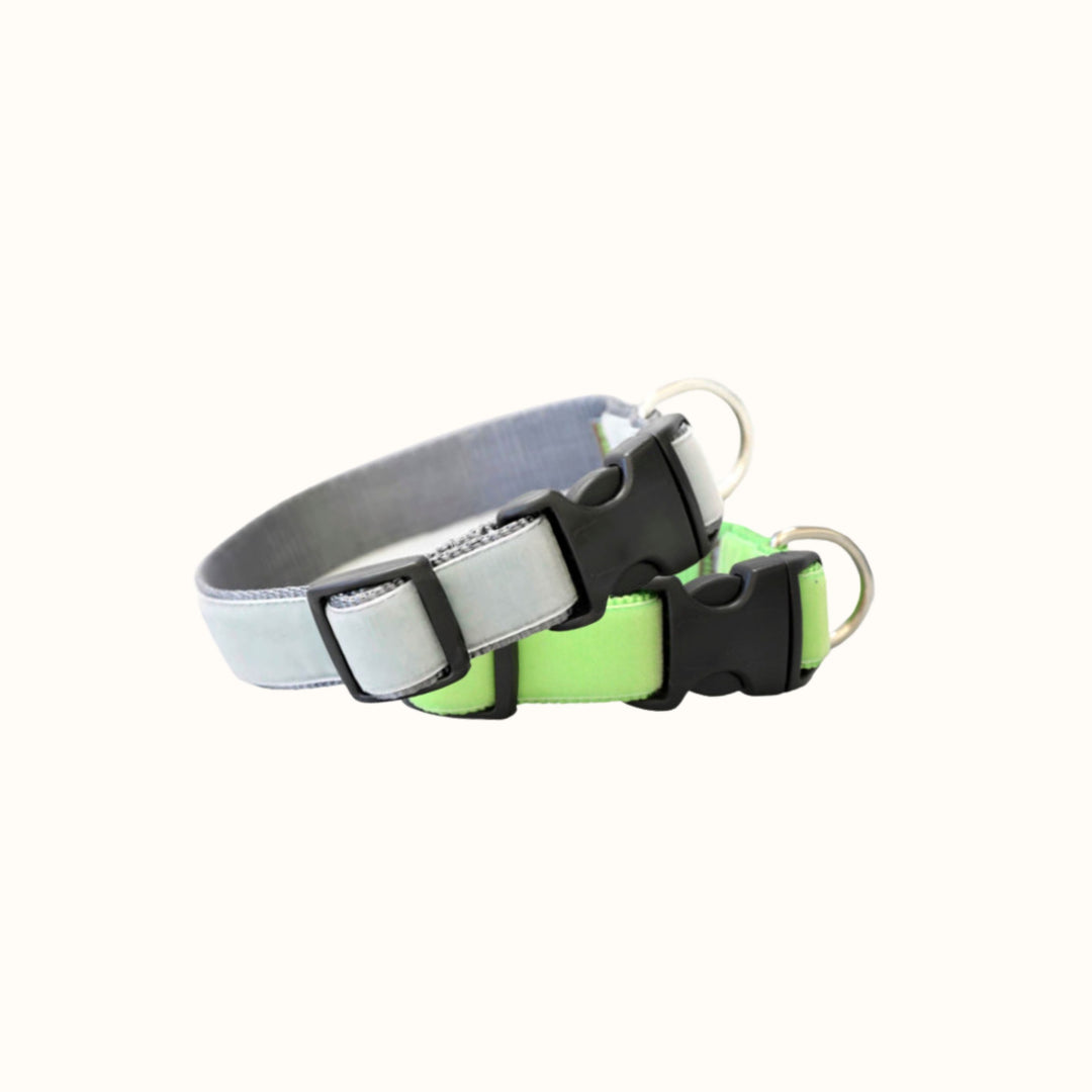 Personalized Velvet Dog Collar (Plastic Buckle)