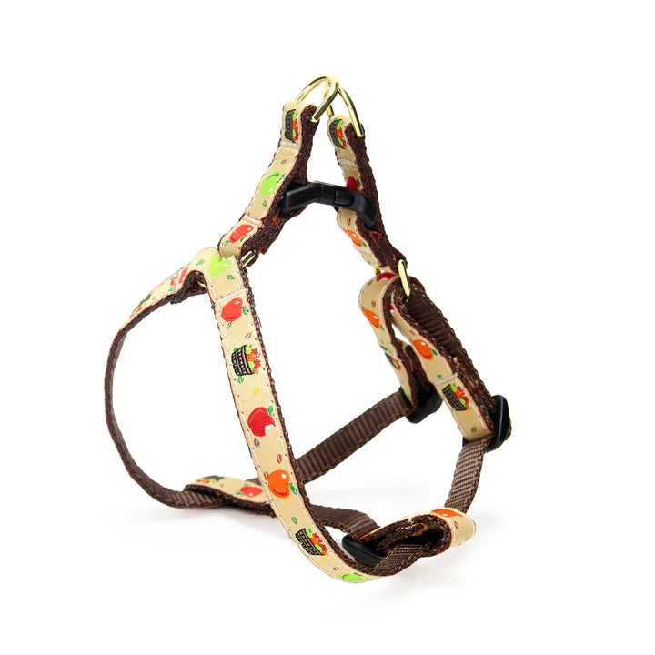 Apple of My Eye Small Breed Dog Collar (Optional Lead or Harness)