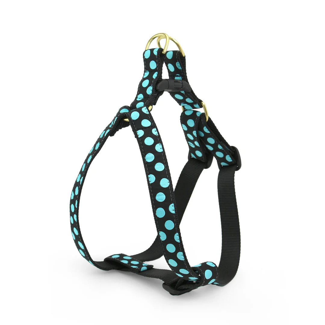 Black and Aqua Dot Dog Harness Chloe Cole Pet Couture Black and Aqua Dot Dog Harness Chloe Cole Pet Couture
