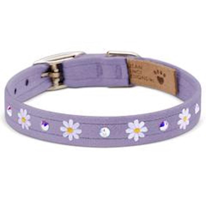 Small Daisies 1/2" Collar For Dogs