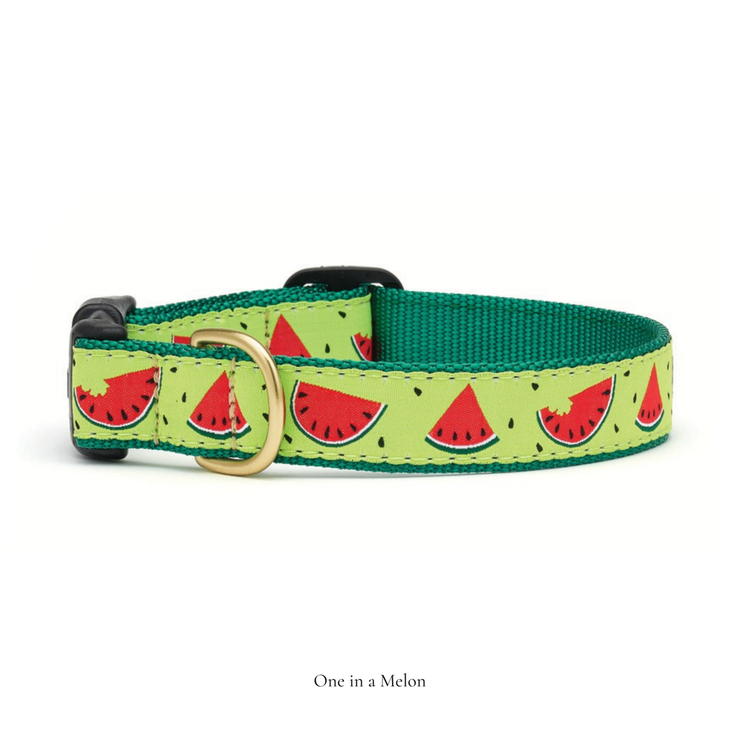 One in a Melon Dog Collar