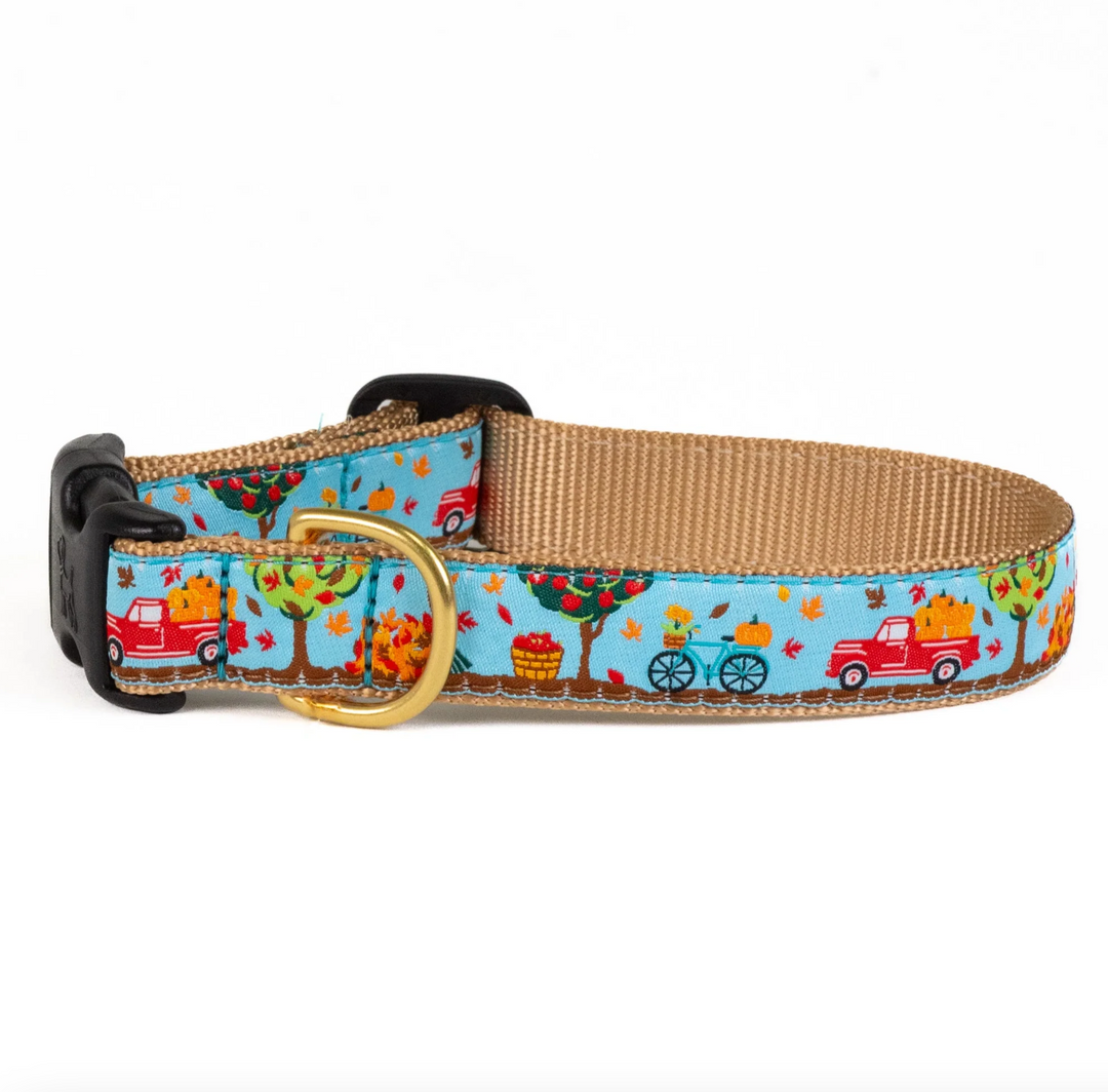 To The Orchard Dog Collar