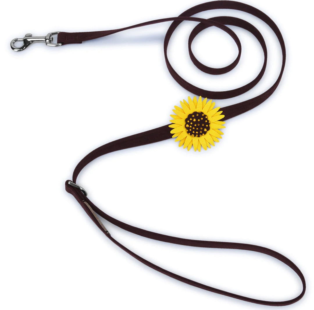 Sunflower Leash