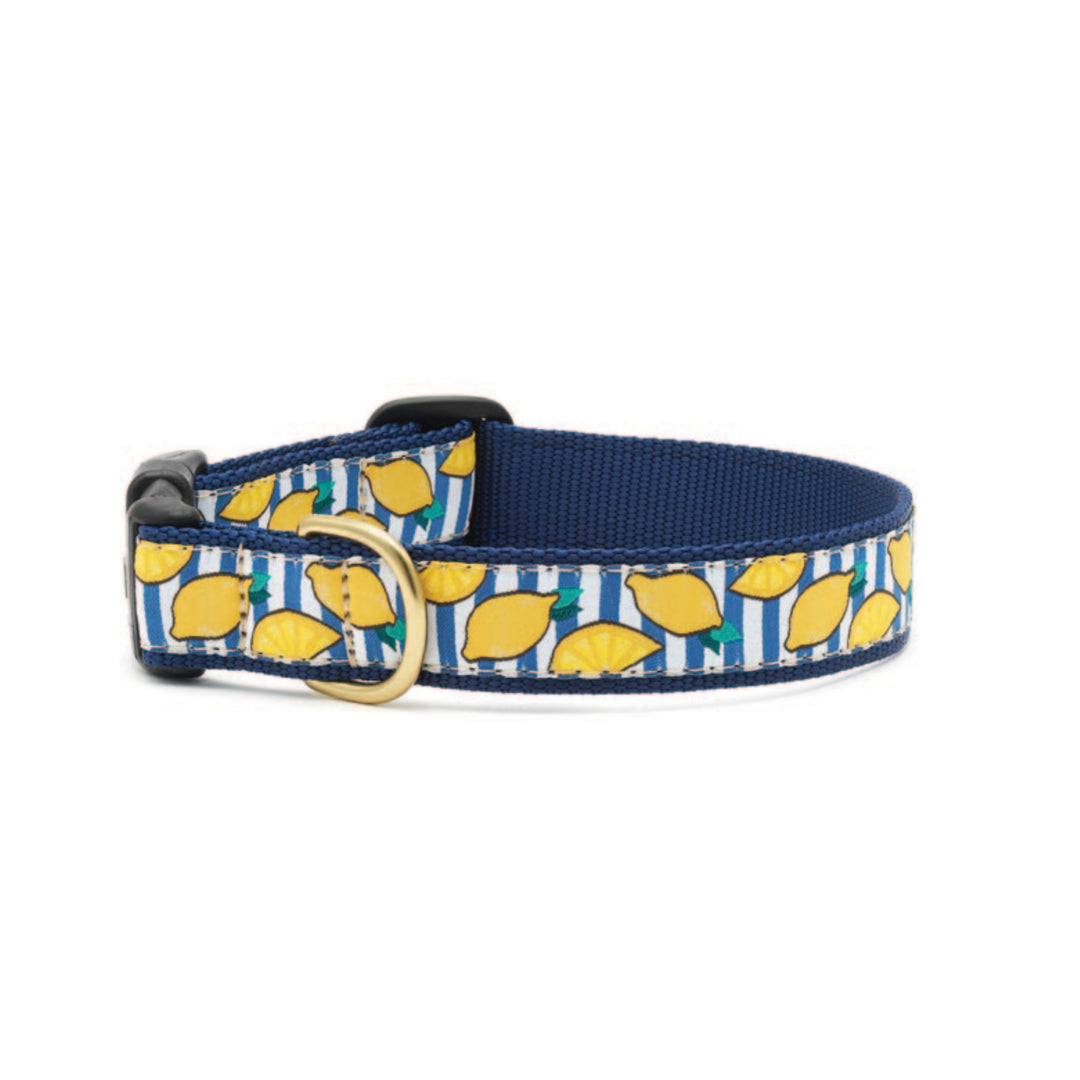 Make Lemonade Dog Collar