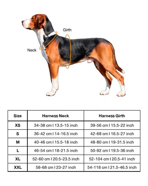 PAIKKA Visibility Harness