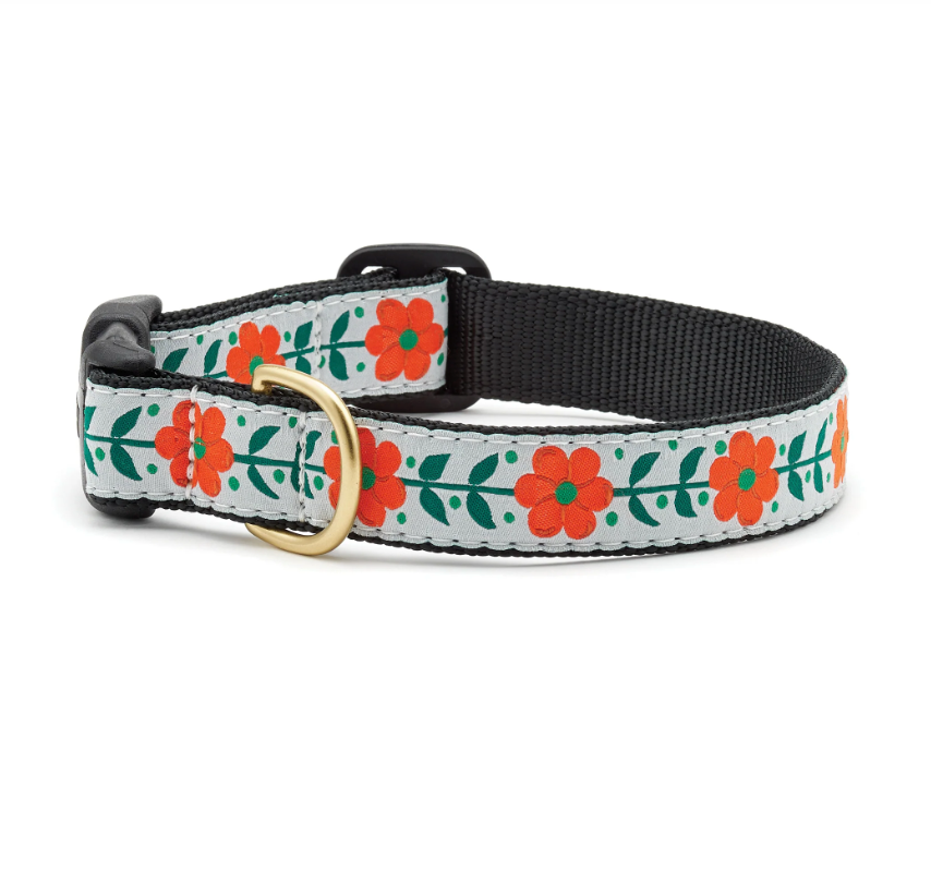 Orange Me Pretty Flower Dog Collar