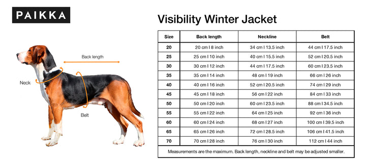 Visibility Winter Jacket for Dogs