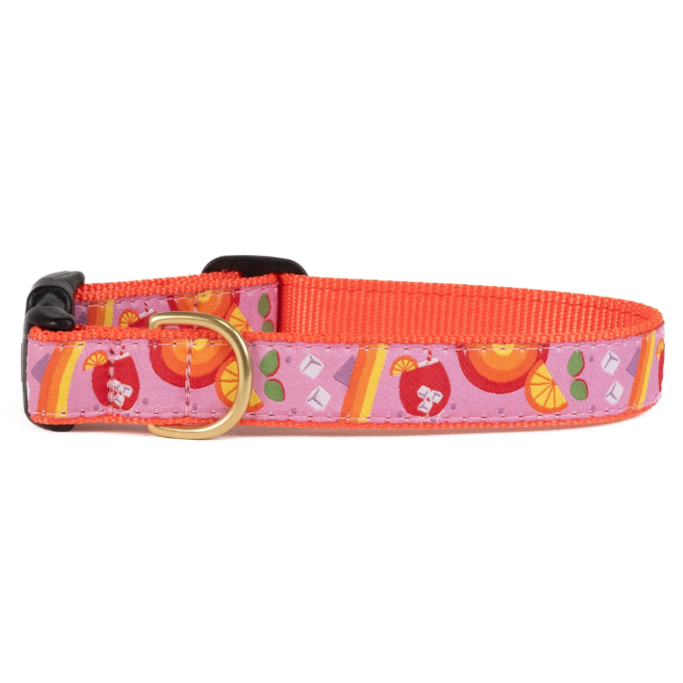 Spritz Dog Collar