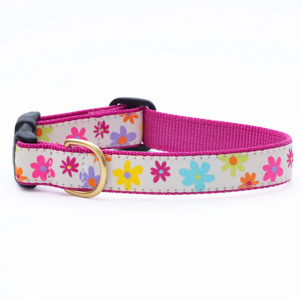 Spring Fever Dog Collar
