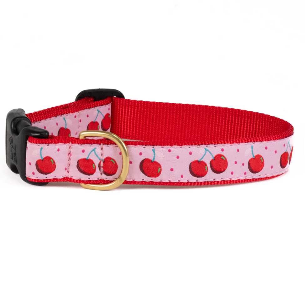 Cherries Dog Collar