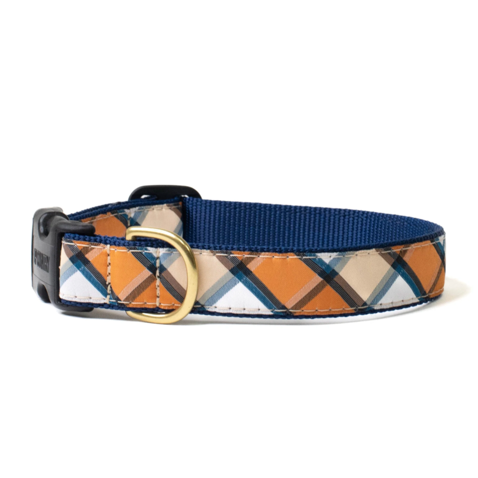 Terracotta Dog Collar