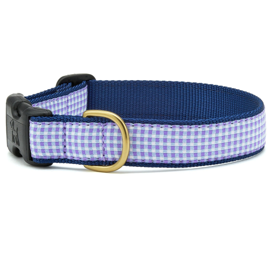Purple Gingham Dog Collar