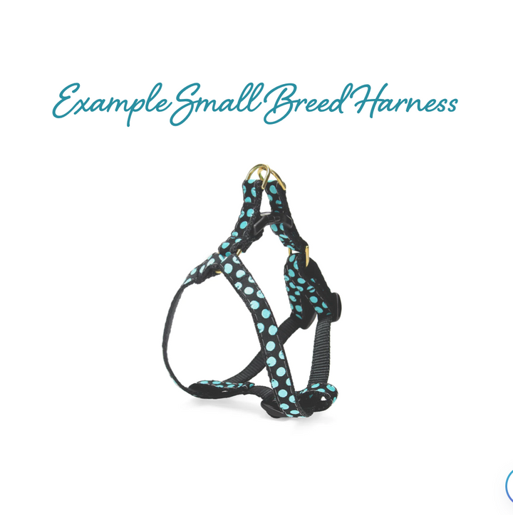 PickleBall Small Breed Dog Harness (Optional Lead)