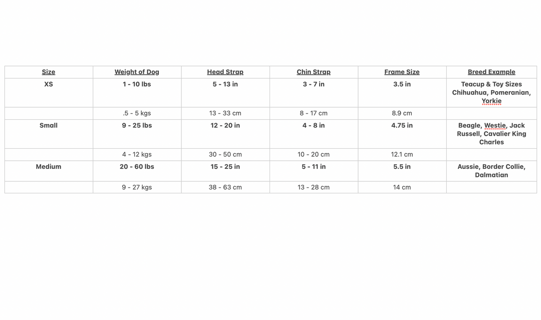 ILS 2 Xsmall  Camo Frame with Smoke Lens 100% UV Protection Anti-Fog + Anti-Shatter Ships Free