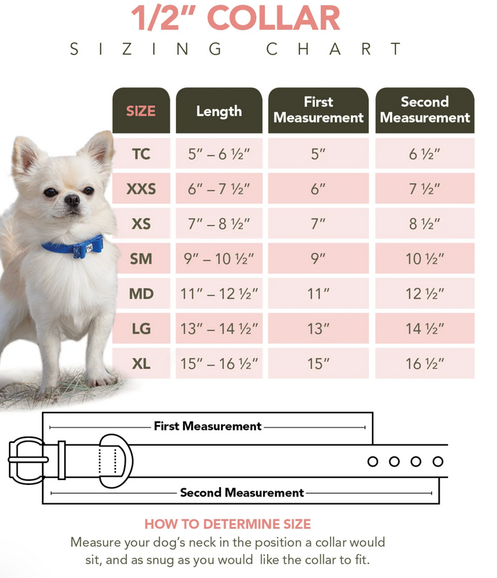 Small Daisies 1/2" Collar For Dogs