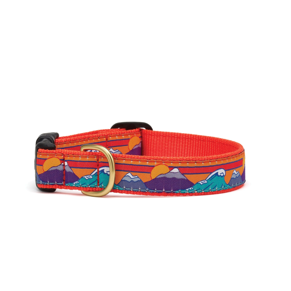 Ski and Surf Dog Collar