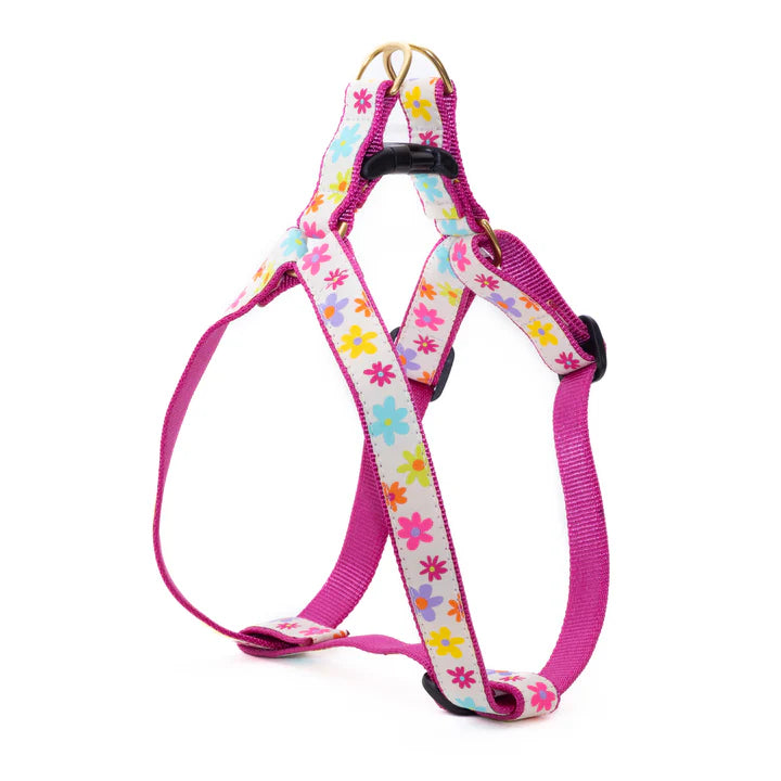 Spring Fever Dog Harness (optional Leash)