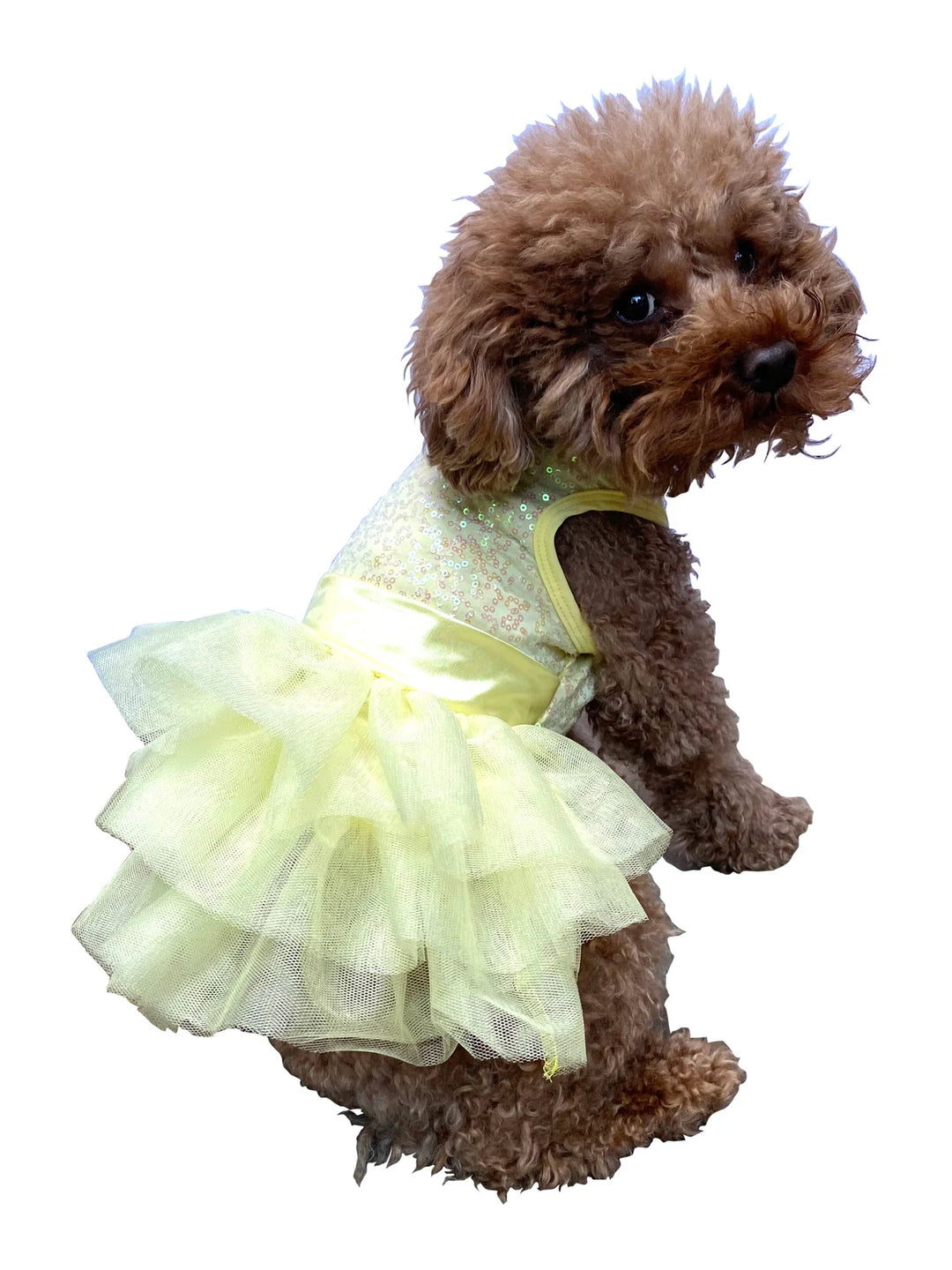 Zsa Zsa Dog Tutu Dress, Pink Sequins