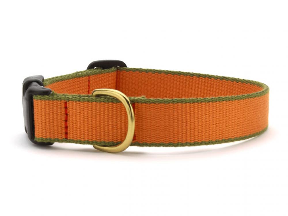 Tangerine and Pine Green Small Breed Dog Collar