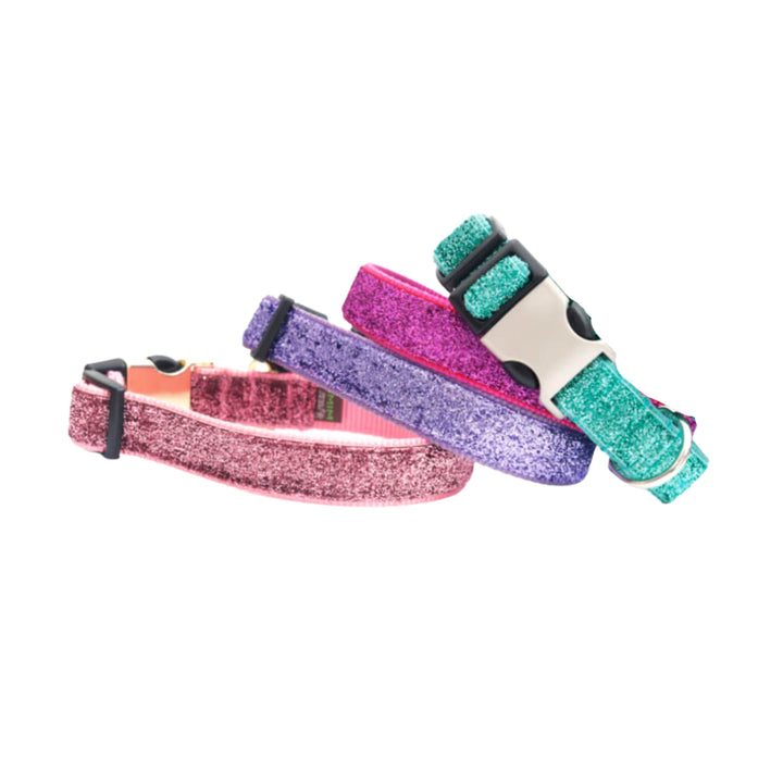 Sparkle Dog Collar Personalized Name on Hybrid Brushed Metal +Black Buckle