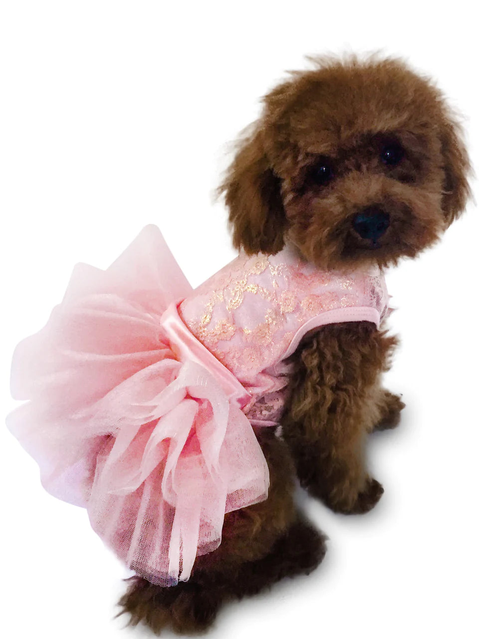 The Dog Squad Fufu Tutu Dog Dress, Rose Gold Iridescent Lace, XX-Small
