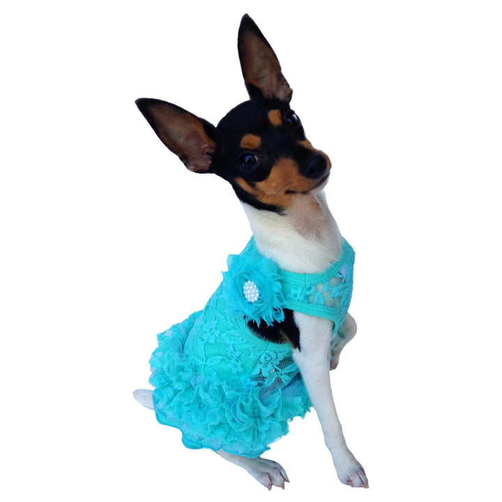 Garden Party Tutu Dress (Color Options)