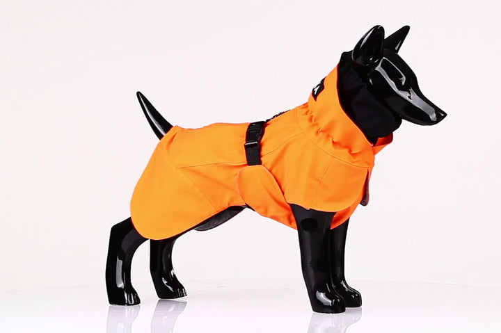 Recovery Raincoat for Dogs