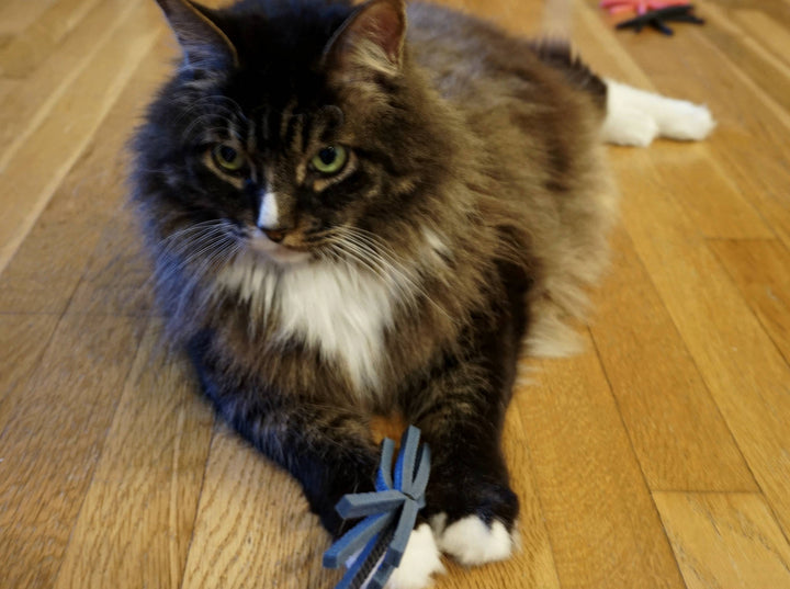 Slate Blue 3 Cat Toy Gift Set + Cat Yoga Mat