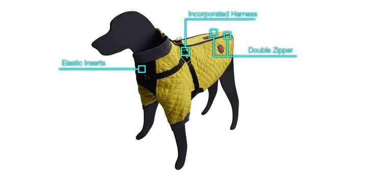 Trendy Dog Body Suit