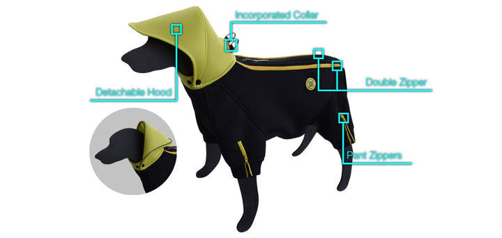 Jazzy Dog Body Suit