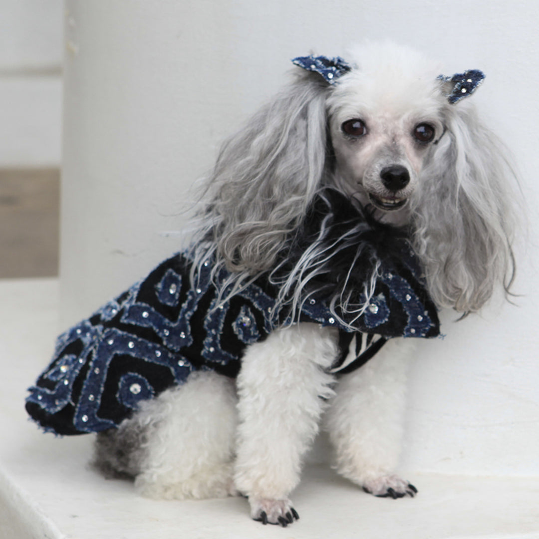 The Diamond Collection Denim & Rhinestone Dog Coat