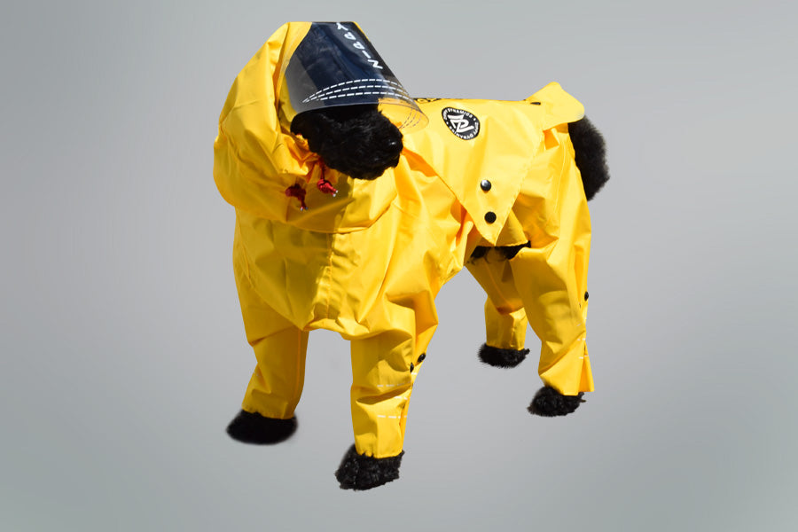 Rainy Dog Body Suit