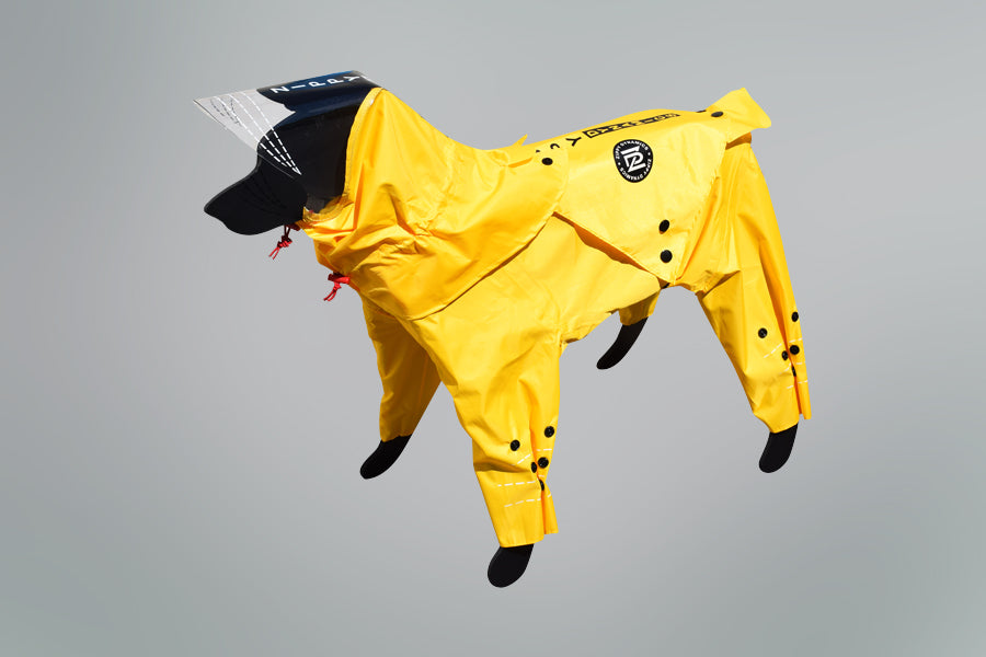 Rainy Dog Body Suit