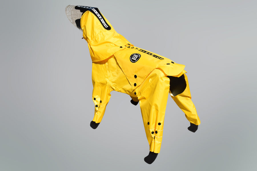 Rainy Dog Body Suit