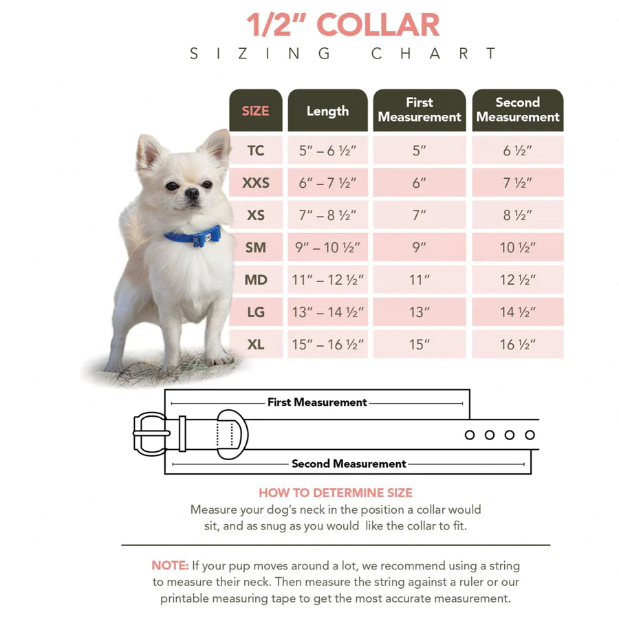 Midnight Crystal Rocks Glitzerati Bow Tie Dog Collar