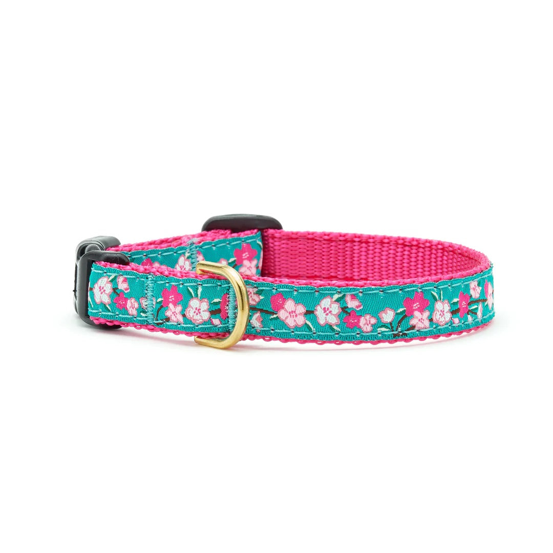 Cherry Blossom Small Breed Collar