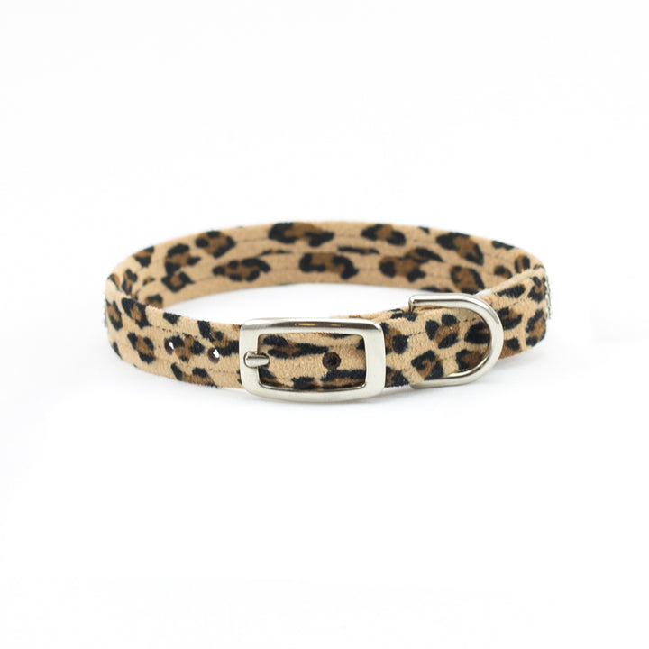 Cheetah Couture 2 Row Giltmore Collar