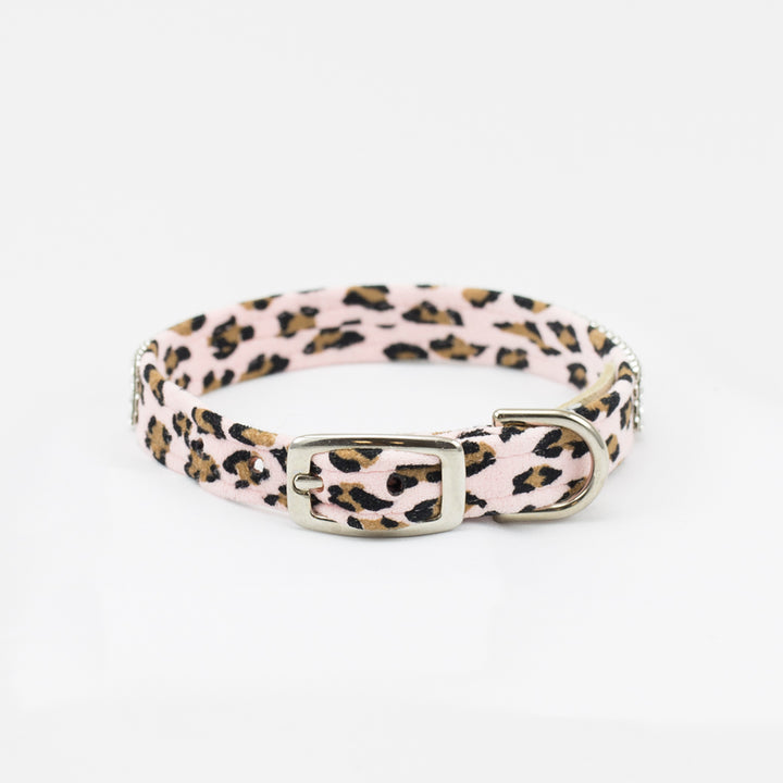 Cheetah Couture 2 Row Giltmore Collar