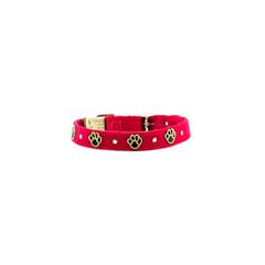 Embroidered Paws Collar