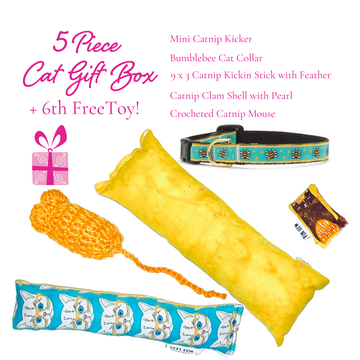 5 Piece Cat Box + Free Toy & Cat Collar (Choose Color)