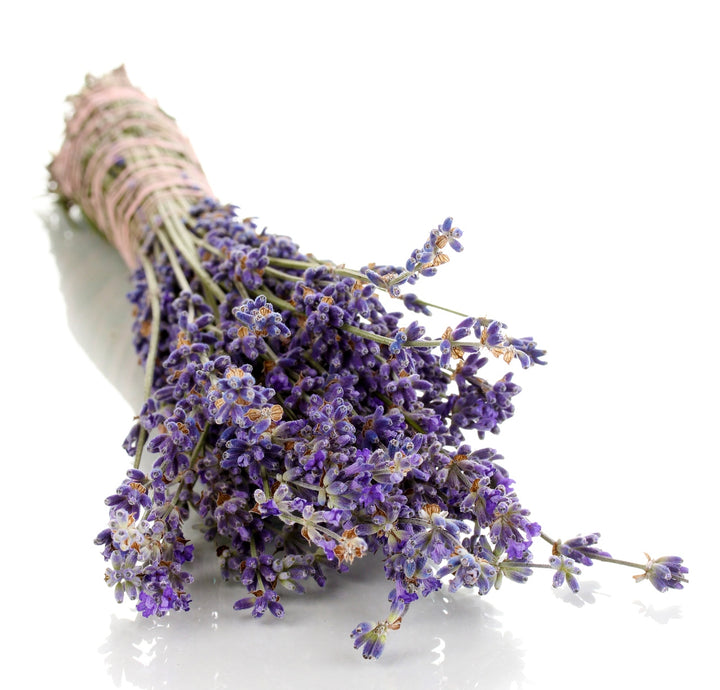 Shampoo, Conditioner with Free Gift Essential Calming Oil